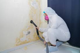 Best Asbestos and Lead Testing During Mold Inspection  in Jackson, GA